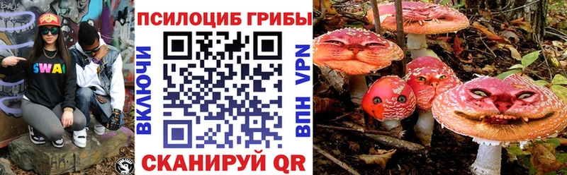 Галлюциногенные грибы Magic Shrooms  MEGA маркетплейс  Псков  как найти закладки 