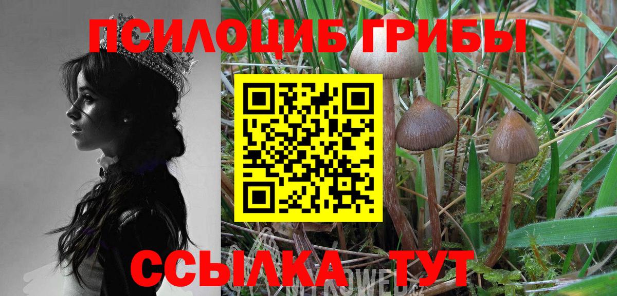 Галлюциногенные грибы мицелий  Вход с VPN  Псков  хочу   Псилоцибиновые грибы мицелий 